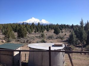 10153915_1491840011039650_1595996672567491344_n