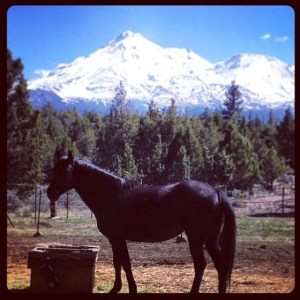 10256085_1491246271099024_1422908420512177955_n