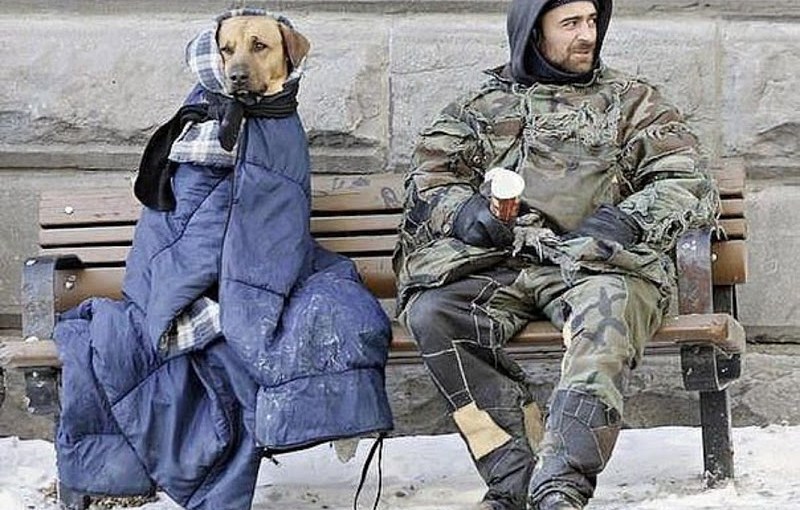 Why A Canadian Judge’s Ruling About Dogs Is A Statement About Non-traditional&nbsp;Families